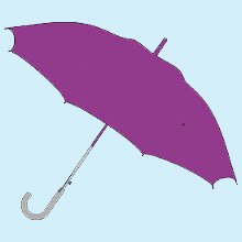 Purple Umbrella